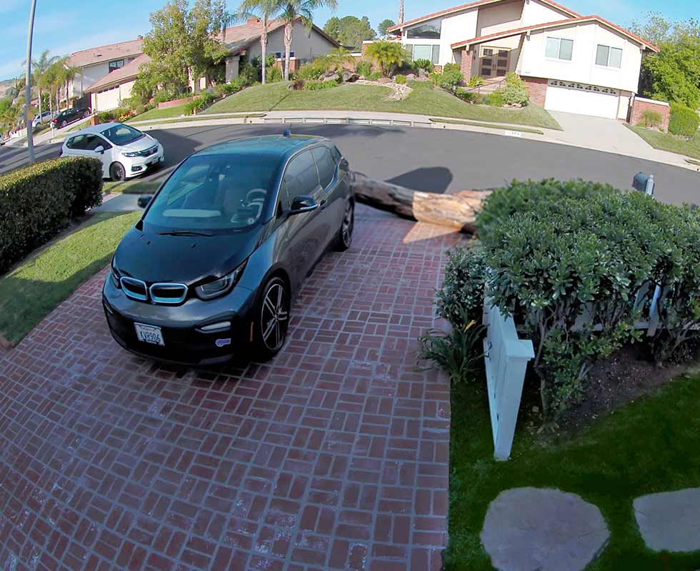 Arlo security camera footage of a fallen tree blocking a car in a driveway