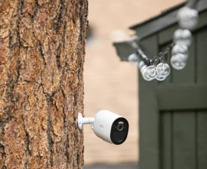 Arlo Go 2 Camera in a backyard mounted on a tree